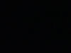 DeadRabbit