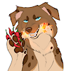 SpicyPepperDog