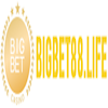 Bigbet88life