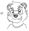 LilNoahBear