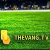 Thevangtvvn