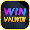 winvnwin
