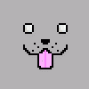 rocketpup