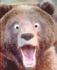 EphraimBear