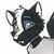MtendoTheSkunk