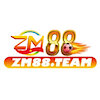 zm88team1