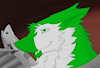 SpringSergal