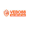 vebotvcam