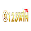 123wintips