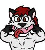 furrydog008