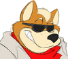 ShaneGunWolf