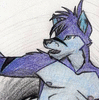 RaikosTheWusky