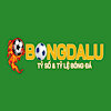 bongdaluvnpro