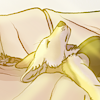 spicycoyote