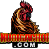 nuoigadaonline