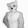 IronWolf357