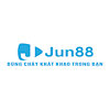 jun8868info