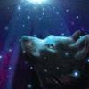 KibaShadowpaw