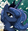 lunaisbestpony