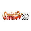 gavietsv388info