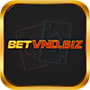 betvndbiz