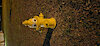 wingzero061
