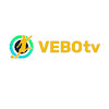 vebotvquest