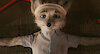 KrisSilverfox