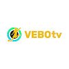 vebottbdxyz