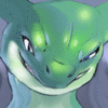 SnakeWildlife