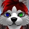 RedHuskyStudio