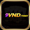9vndtoday