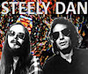 steelydanmerch