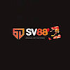 81sv88