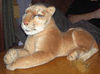 TomRedlion