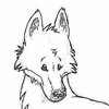 Kitefox