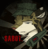 sabot