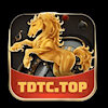 tdtc14g