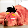 Mackenzieanimationga
