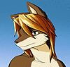 Surfurry