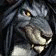 Grayphus