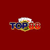 top88vision