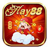 hay88cfd
