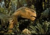 Aladar