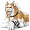 CNDhusky