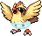 BabyPidgey