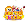 caothusoicaumom