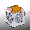 aracelyfgnixon