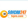 soicau247tvpro