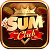 sumclubtips